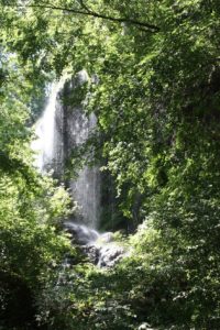 Photo of Colorado Bend State Park Gorman Falls